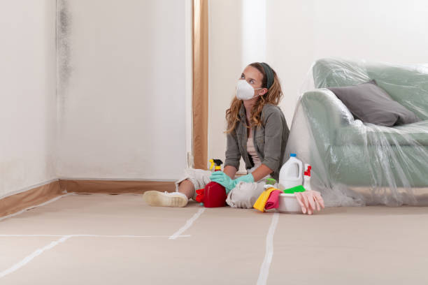 Reliable Mold Cleanup contractor in Jessup, MD by WQB Mold Removal